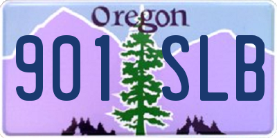 OR license plate 901SLB