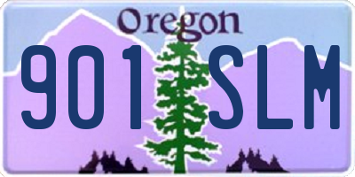 OR license plate 901SLM