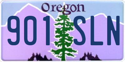 OR license plate 901SLN