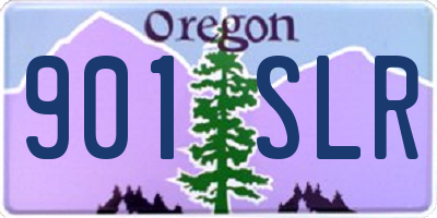 OR license plate 901SLR