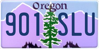 OR license plate 901SLU