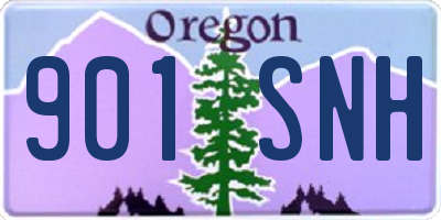 OR license plate 901SNH