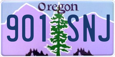 OR license plate 901SNJ