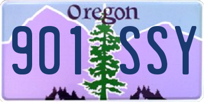 OR license plate 901SSY