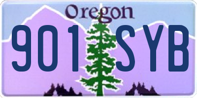 OR license plate 901SYB