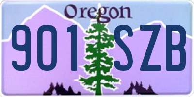 OR license plate 901SZB