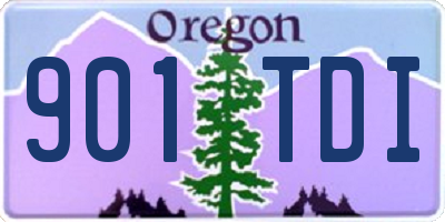 OR license plate 901TDI