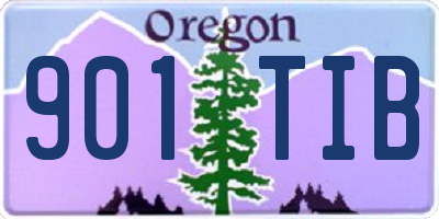 OR license plate 901TIB