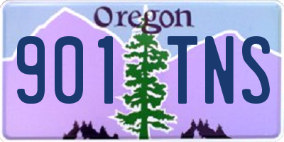 OR license plate 901TNS
