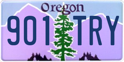 OR license plate 901TRY