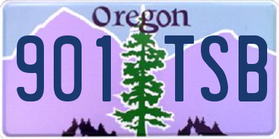 OR license plate 901TSB