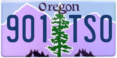 OR license plate 901TSO