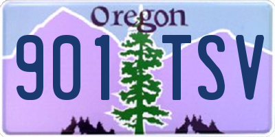 OR license plate 901TSV