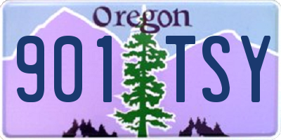 OR license plate 901TSY