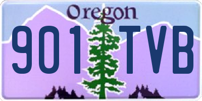 OR license plate 901TVB