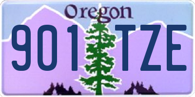 OR license plate 901TZE