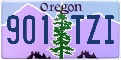 OR license plate 901TZI