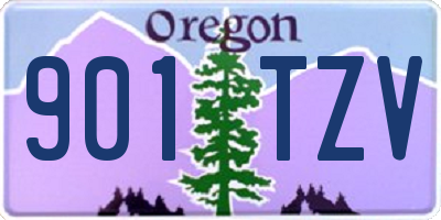 OR license plate 901TZV
