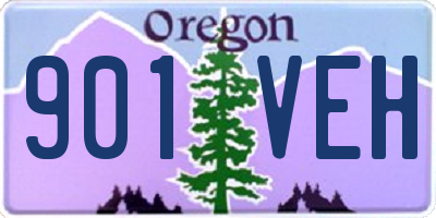 OR license plate 901VEH