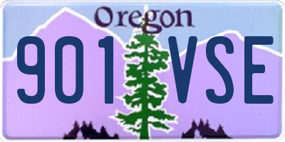 OR license plate 901VSE
