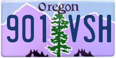 OR license plate 901VSH