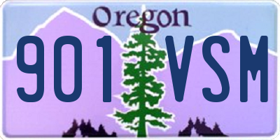 OR license plate 901VSM