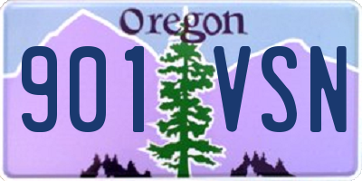 OR license plate 901VSN
