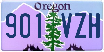 OR license plate 901VZH
