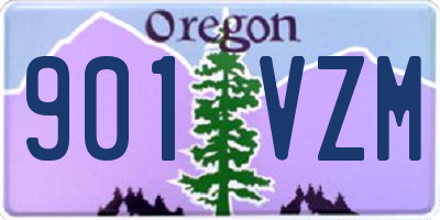 OR license plate 901VZM