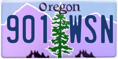 OR license plate 901WSN