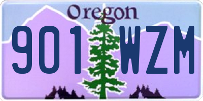 OR license plate 901WZM