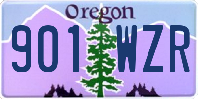 OR license plate 901WZR