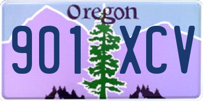 OR license plate 901XCV