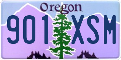 OR license plate 901XSM