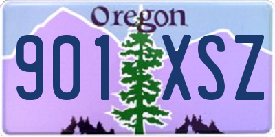 OR license plate 901XSZ