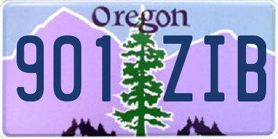 OR license plate 901ZIB