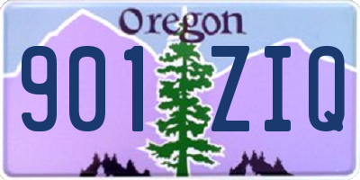 OR license plate 901ZIQ