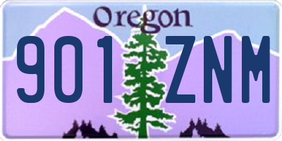 OR license plate 901ZNM