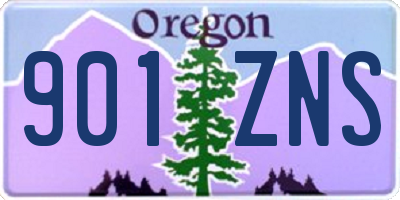 OR license plate 901ZNS