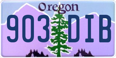OR license plate 903DIB