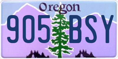 OR license plate 905BSY