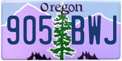 OR license plate 905BWJ