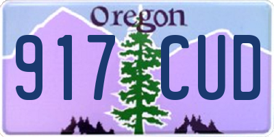 OR license plate 917CUD