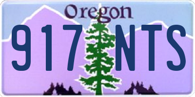 OR license plate 917NTS