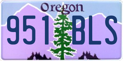 OR license plate 951BLS