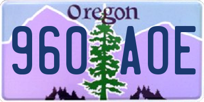 OR license plate 960AOE