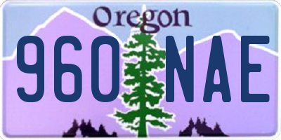 OR license plate 960NAE