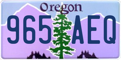 OR license plate 965AEQ