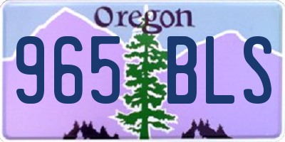 OR license plate 965BLS