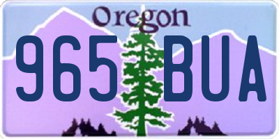 OR license plate 965BUA